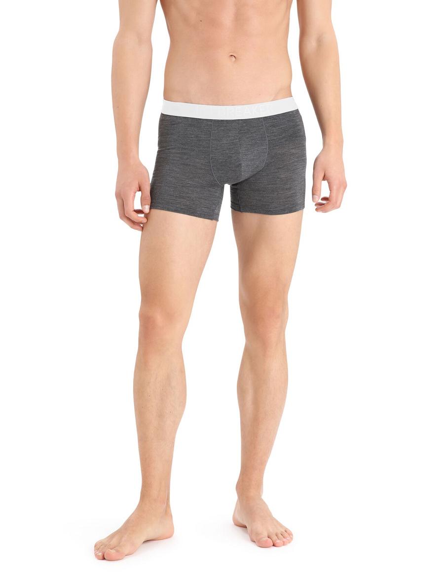 Icebreaker Cool-Lite™ Merino Anatomica Boxers Férfi Fehérnemű Taupe | HU 1319VRWD